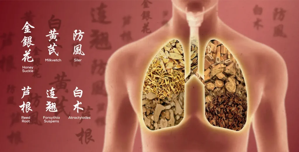 Support your respiratory health with GHHS TCM Lung Shield’s unique blend of traditional Chinese herbs.