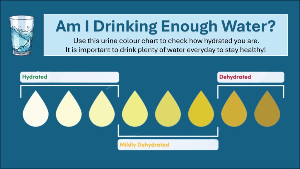 Check your hydration level with this urine color chart.